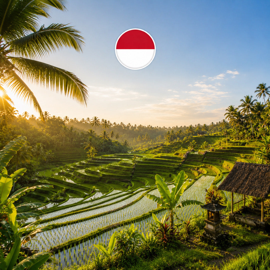 eSIM Bali — 10 Go / 30 jours