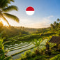 eSIM Bali — 10 Go / 30 jours